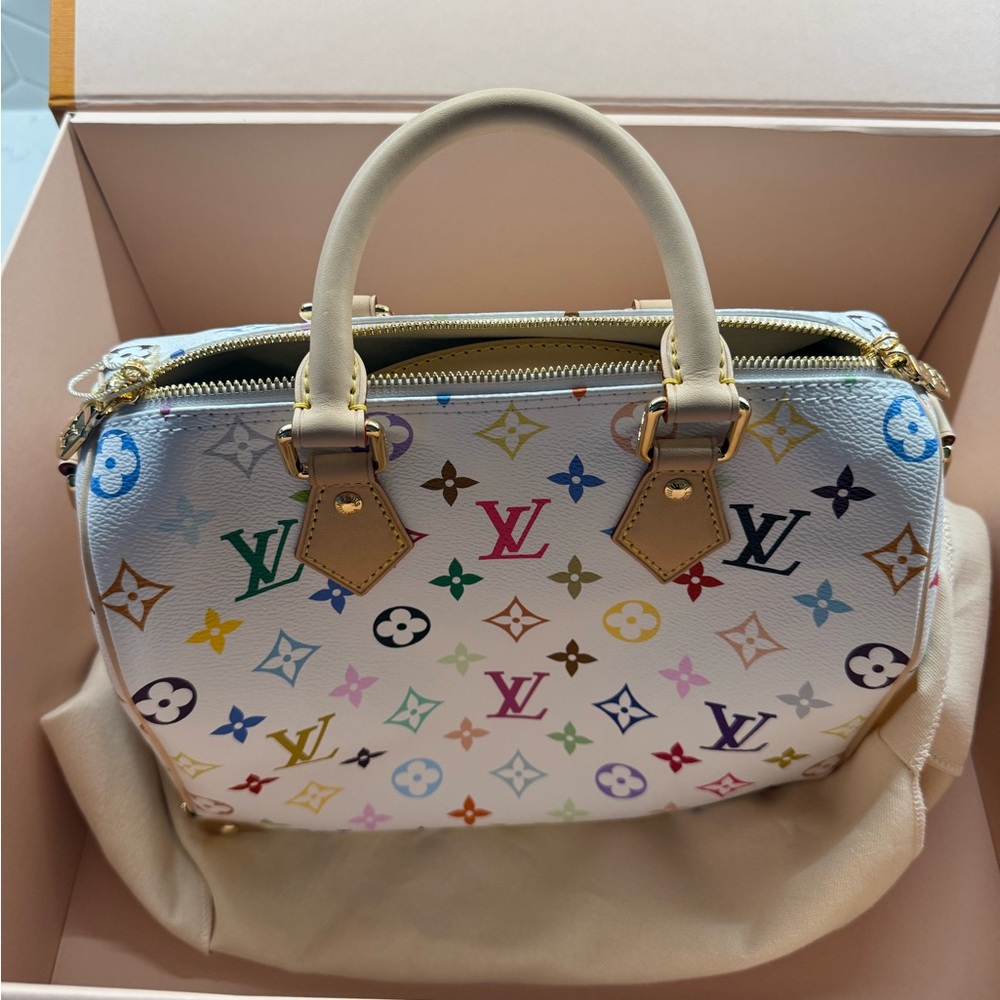Louis Vuitton x Takashi Murakami speedy 25. Multicolor